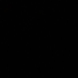 Meet your Posher, Maryse